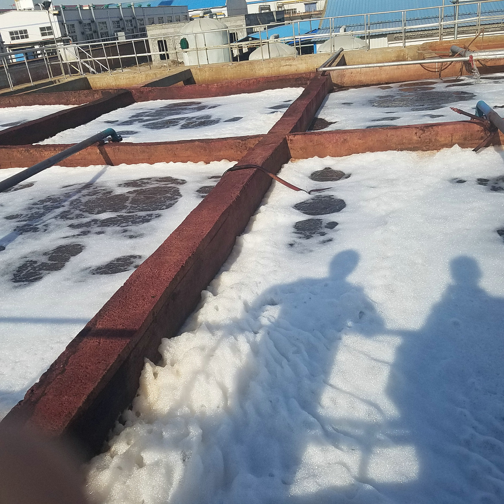 商丘大鳴發毛絨制品廢水處理工程